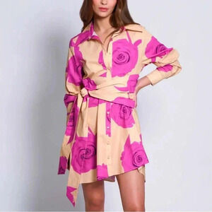 Hutch Fuchsia and Beige Floral Mini Dress